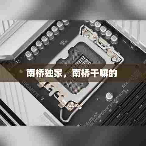 南桥独家，南桥干嘛的 