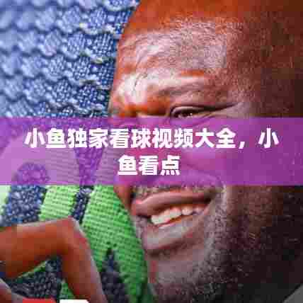 小鱼独家看球视频大全，小鱼看点 