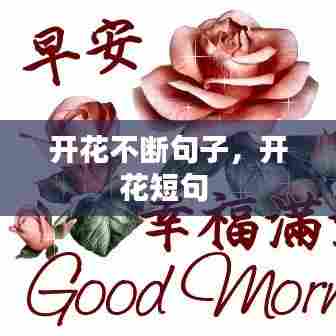 开花不断句子，开花短句 