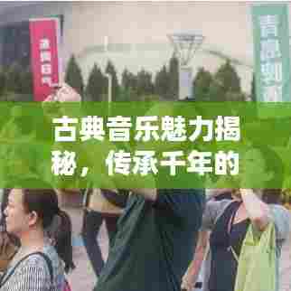古典音乐魅力揭秘，传承千年的旋律之美