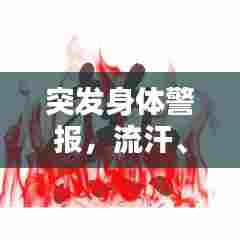 突发身体警报，流汗、眩晕、呕吐，这些症状背后的真相与应对之道