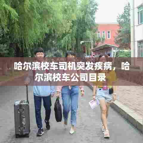 哈尔滨校车司机突发疾病，哈尔滨校车公司目录 