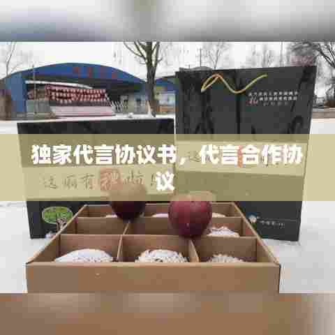 独家代言协议书，代言合作协议 