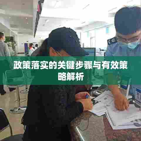 政策落实的关键步骤与有效策略解析