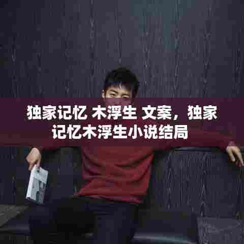独家记忆 木浮生 文案，独家记忆木浮生小说结局 