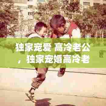 独家宠爱 高冷老公,独家宠婚高冷老公呆呆妻