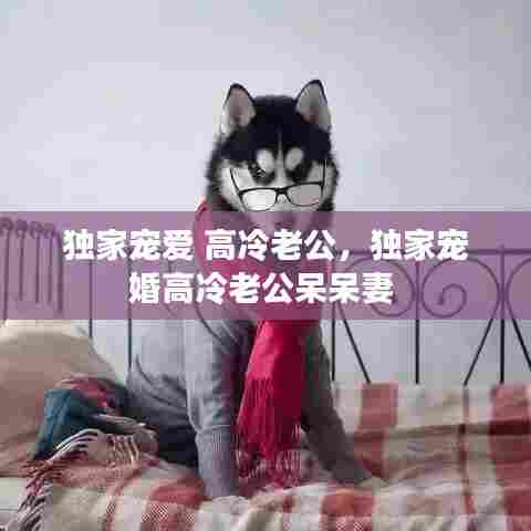 独家宠爱 高冷老公,独家宠婚高冷老公呆呆妻