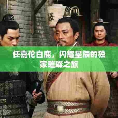 任嘉伦白鹿,闪耀星辰的独家璀璨之旅