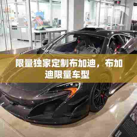 限量独家定制布加迪，布加迪限量车型 