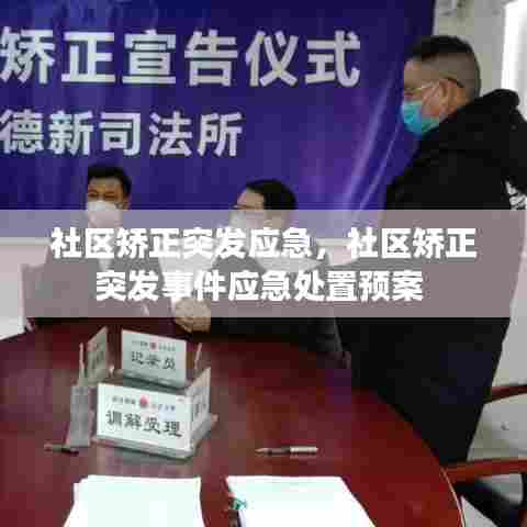 社区矫正突发应急，社区矫正突发事件应急处置预案 