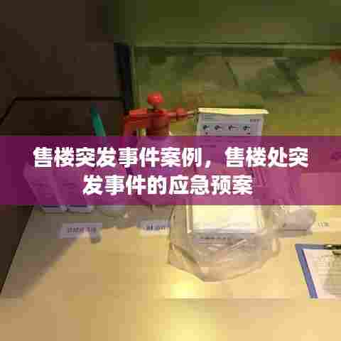 售楼突发事件案例，售楼处突发事件的应急预案 