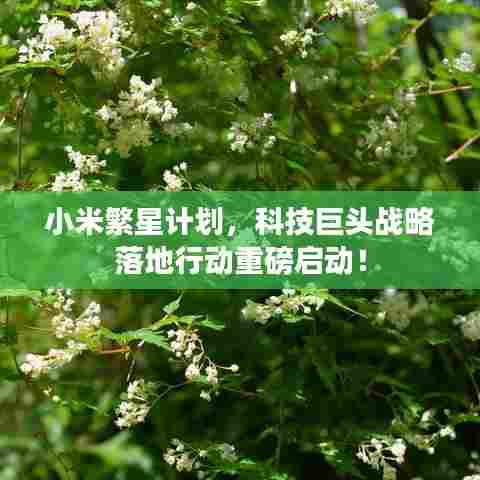 小米繁星计划，科技巨头战略落地行动重磅启动！