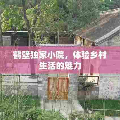鹤壁独家小院，体验乡村生活的魅力