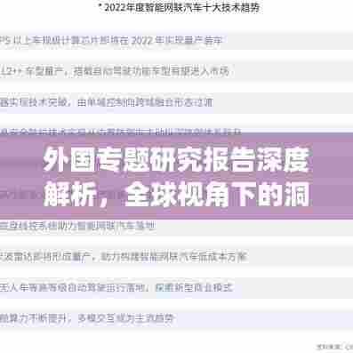 外国专题研究报告深度解析，全球视角下的洞察与启示