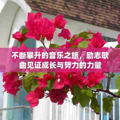 不断攀升的音乐之旅，励志歌曲见证成长与努力的力量