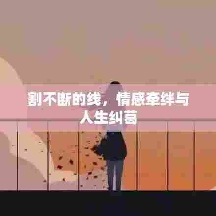 割不断的线，情感牵绊与人生纠葛