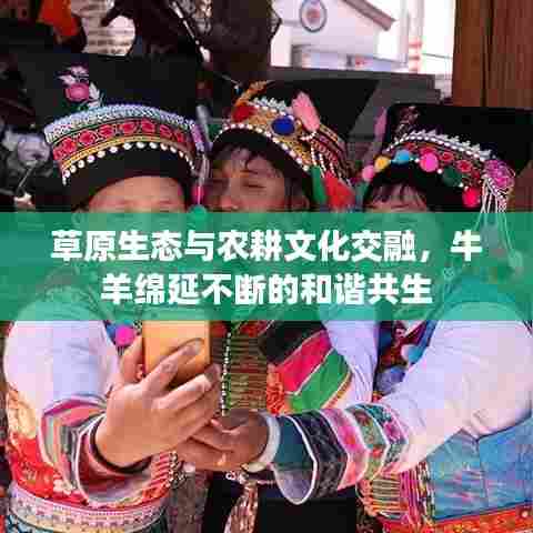 草原生态与农耕文化交融，牛羊绵延不断的和谐共生