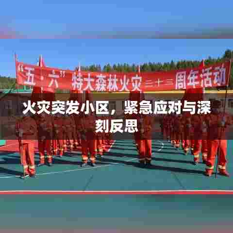 火灾突发小区,紧急应对与深刻反思