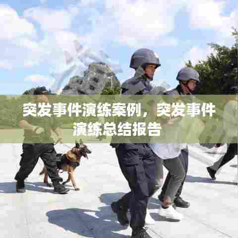突发事件演练案例，突发事件演练总结报告 