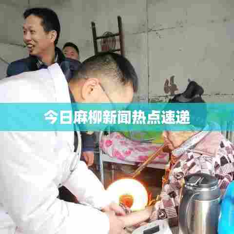 今日麻柳新闻热点速递