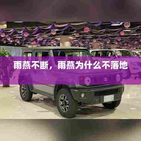 雨燕不断，雨燕为什么不落地 