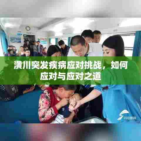 潢川突发疾病应对挑战，应对策略与措施