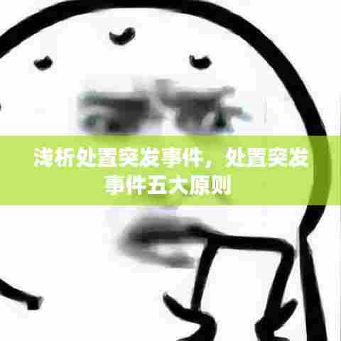 处置突发事件的五大原则详解