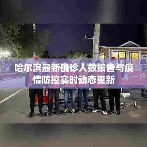 哈尔滨最新确诊人数报告与疫情防控实时动态更新