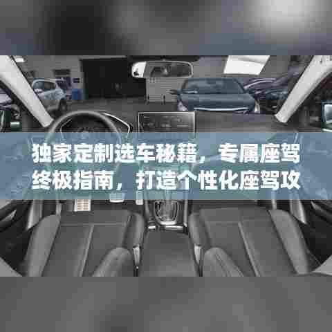 独家定制选车秘籍，专属座驾终极指南，打造个性化座驾攻略