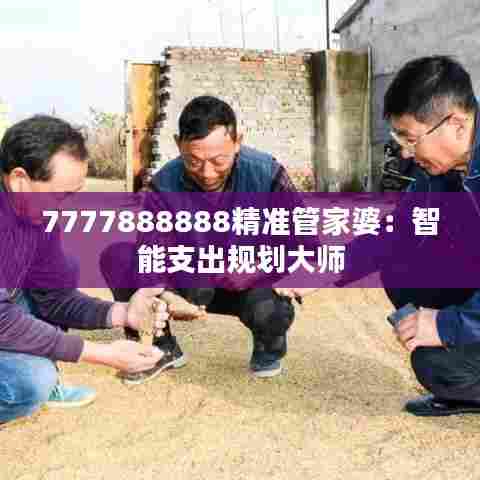 7777888888精准管家婆：智能支出规划大师