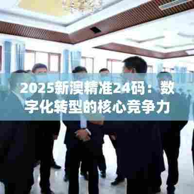 2025新澳精准24码：数字化转型的核心竞争力