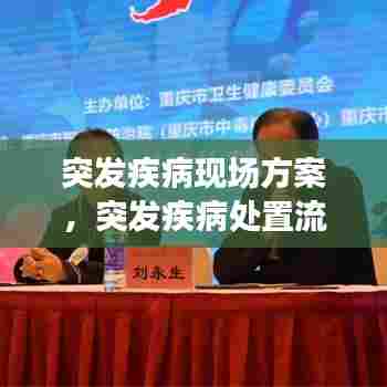 突发疾病现场方案，突发疾病处置流程 