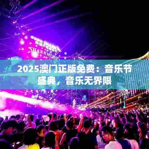 2025澳门正版免费：音乐节盛典，音乐无界限