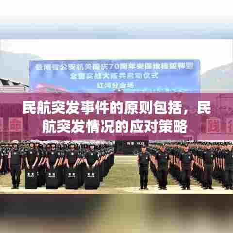 民航突发事件的原则包括，民航突发情况的应对策略 