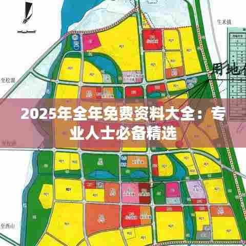 2025年全年免费资料大全：专业人士必备精选
