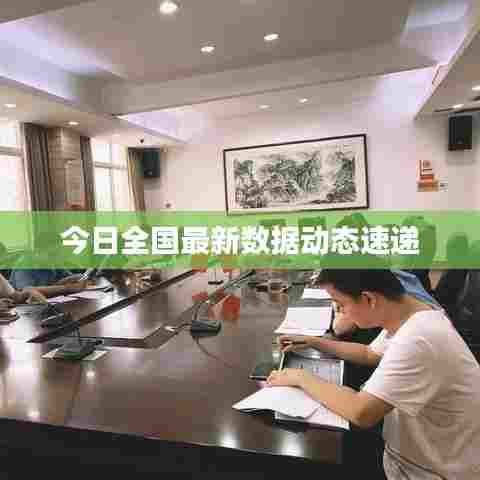 今日全国最新数据动态速递