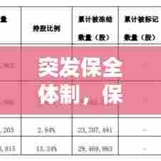 突发保全体制，保全措施是什么意思 