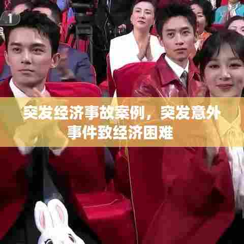 突发经济事故案例，突发意外事件致经济困难 