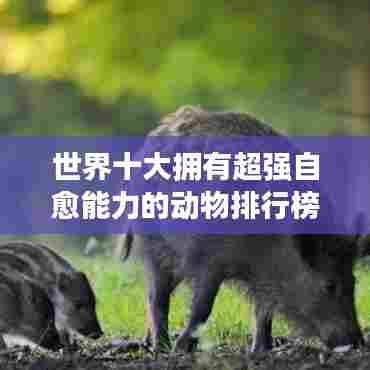 世界十大拥有超强自愈能力的动物排行榜