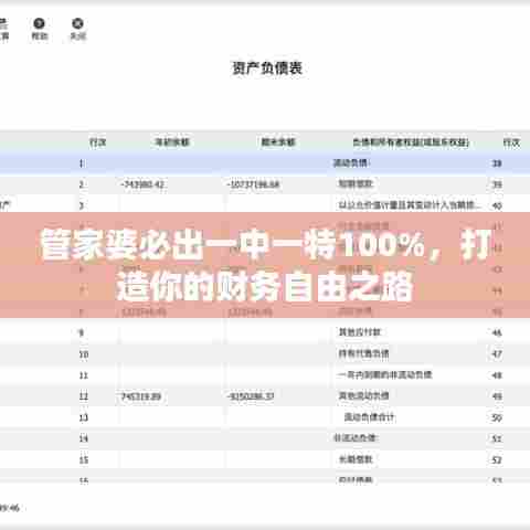 管家婆必出一中一特100%，打造你的财务自由之路