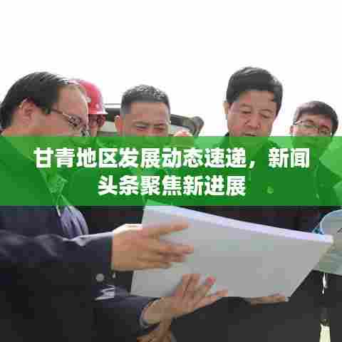 甘青地区发展动态速递，新闻头条聚焦新进展