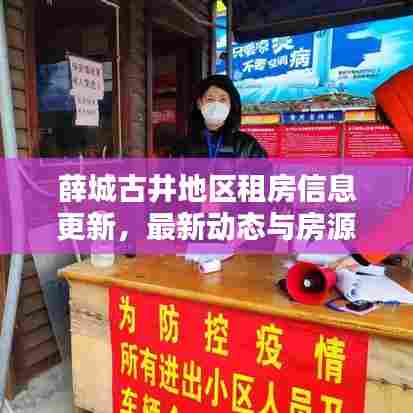 薛城古井地区租房信息更新，最新动态与房源速递