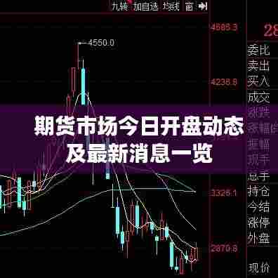 期货市场今日开盘动态及最新消息一览