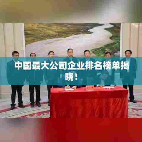 中国最大公司企业排名榜单揭晓！