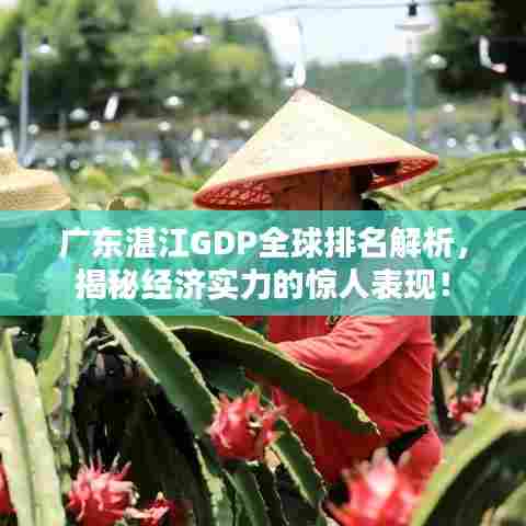 广东湛江GDP全球排名解析，揭秘经济实力的惊人表现！
