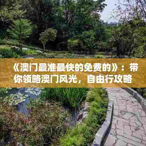 《澳门最准最快的免费的》：带你领略澳门风光，自由行攻略全程无消费