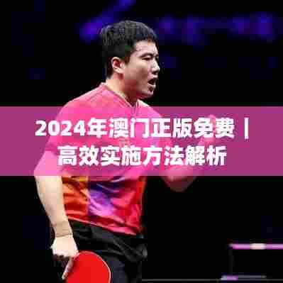 2024年澳门正版免费｜高效实施方法解析