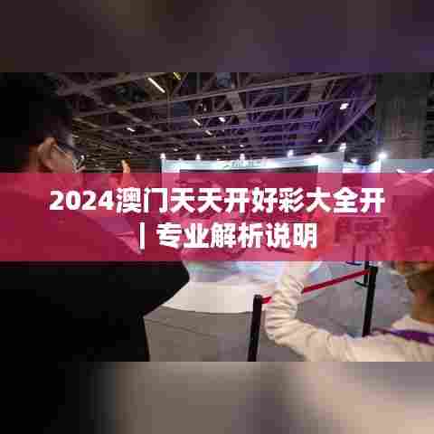 2024澳门天天开好彩大全开|专业解析说明