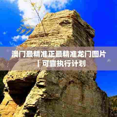 澳门最精准正最精准龙门图片｜可靠执行计划