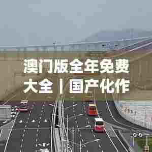 澳门版全年免费大全｜国产化作答解释落实